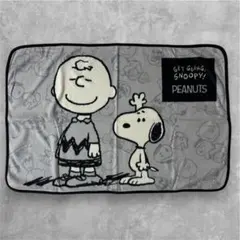 PEANUTS チャーリー・ブラウン スヌーピー ブランケット　約60×90㎝