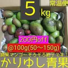 2026年最新】摘果マンゴーの人気アイテム - メルカリ
