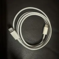 Apple 純正 タイプC ライトニングケーブル iPhone 新品未使用