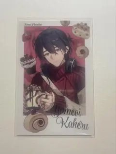 夢追翔 sweet floaties にじさんじ チェキ