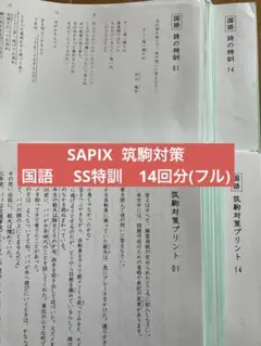 サピックス筑駒対策プリント国語 2026年最新】筑駒 国語 サピックスの人気アイテム - メルカリ
