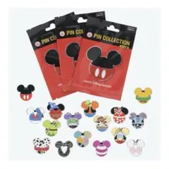 Tokyo Disney Resort ピンバッジ