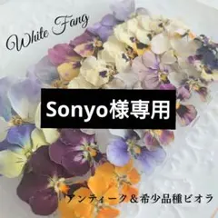Sonyo 【即購入可】様 リクエスト 3点 まとめ商品