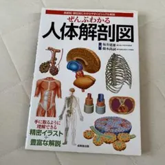 Item thumbnail for item 76783d31-e094-4c80-bd24-4e9eb5475376