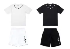 silentセットアップ