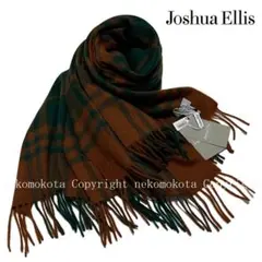 Joshua Ellis