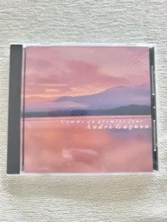 とんちゃん様 リクエスト 3点 まとめ商品