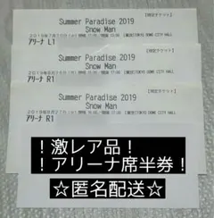 ☆激レア☆ 【いいね不要】SnowMan サマパラ 2019 半券