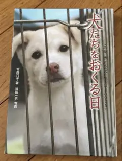 犬たちをおくる日