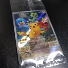 た*ゃ様 ポケモン　ピカチュウ　みんなでぼうけん　スカバイ　プロモ