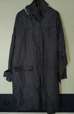 Item thumbnail for item 042bf7be-a8e3-40c3-90af-bc1895a60f8e