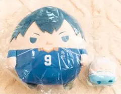 ハイキュー!! くじメイト ぬいくじ 影山飛雄・星海光来