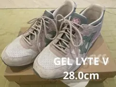 GEL LYTE Ⅴ "SPRING IN JAPAN"