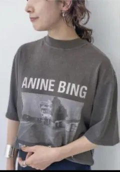 ANINE BING Tシャツ ヴィンテージ加工　アパルトモン購入のサムネイル