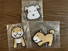 アランジアロンゾ　アクリルキーホルダー