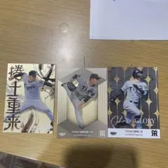 阪神タイガース トレーディングカードセット
