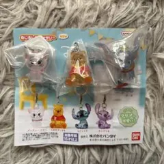 Disney めじるしアクセサリー