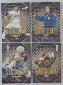 Item thumbnail for item 9bf82d05-24c4-4619-9bd6-ffedb49d2712