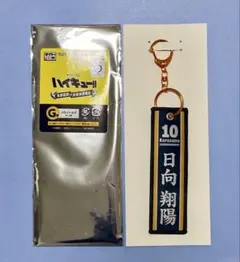 ハイキューくじ G賞 フライトタグ 日向翔陽