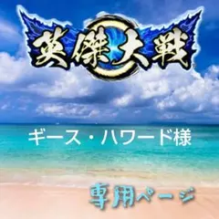 ギース・ハワード様 専用