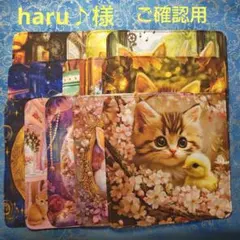 haru♪様専用 ハンカチ　ねこちゃん柄　17枚