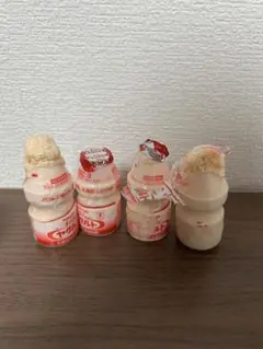 食品サンプル