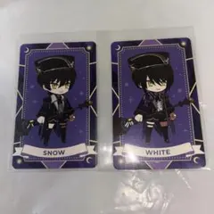 スノウ ホワイト セット