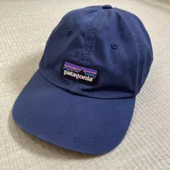 Patagonia P-6 Label Trad Capのサムネイル