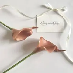 Item thumbnail for item 31e70122-dfb9-443c-8157-dbc4c57f00f7