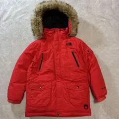 THE NORTH FACE DRYVENT FUR DOWN JACKET