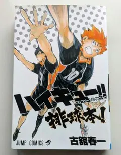 ハイキュー!! コンプリートガイドブック 排球本!