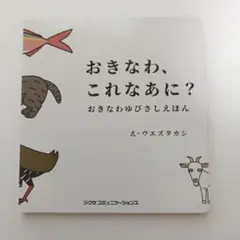 おきなわ、これなあに？ おきなわゆびさしえほん　ウエズタカシ