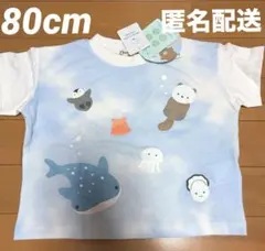 【新品】海の生き物 半袖Tシャツ 80cm chum up 綿100 水族館