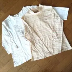 クロコダイル レディース長袖Ｔシャツ二枚セット トップス プルオーバー ボーダーのサムネイル