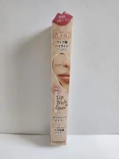 キャンメイク リップトリックライナー H02 天然ベージュのサムネイル