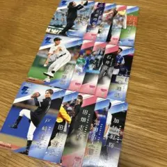 BBM2025 2nd 始球式カード　15枚セット