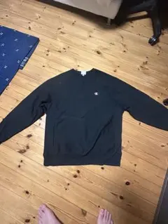 チャンピオントレーナー