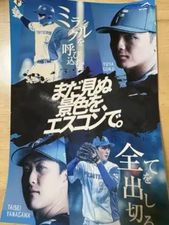 ファイターズ ステッカー 郡司裕也 柳川大晟