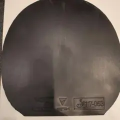v22 Extra エキストラ　MAX