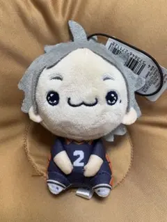 2026年最新】菅原孝支 ぬいぐるみの人気アイテム - メルカリ