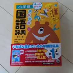 専用　例解学習国語辞典[第十一版]オールカラー