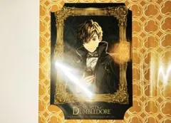 2025年最新】ファンタスティックビースト の人気アイテム - メルカリ