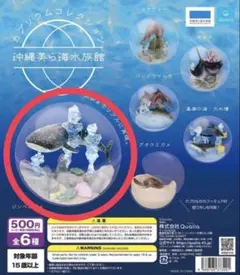 2026年最新】カプリウムコレクション 美ら海の人気アイテム - メルカリ
