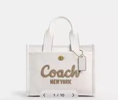 未使用カード袋付きコーチCOACH 恐竜柄 キャンバス 2WAYショルダー
