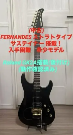 2026年最新】フェルナンデス サスティナー ギターの人気アイテム