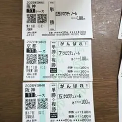 クロワデュノール 新馬戦から宝塚記念までの馬券 値下げ交渉可能