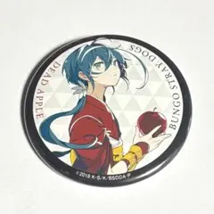 文豪ストレイドッグス 文スト 原作絵 DEAD APPLE 泉鏡花 缶バッジ