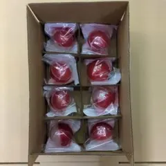 Item thumbnail for item 84f583ab-79d8-4609-bcf7-0398459d37b0