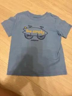 お値下げしました！【patagonia】パタゴニア　ライブシンプル Tシャツ