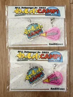 2026年最新】ambitious アクキーの人気アイテム - メルカリ